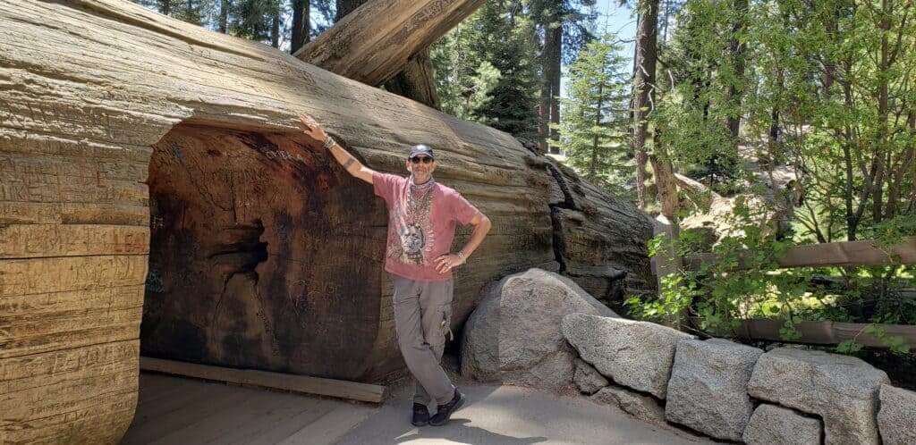 דרור עינב טיולים מעבר לקשת פארק הסקוויה